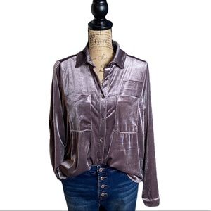 Easel mauve velour button down blouse